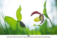 kalender_2021