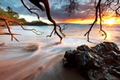 Maui - Makena Landing